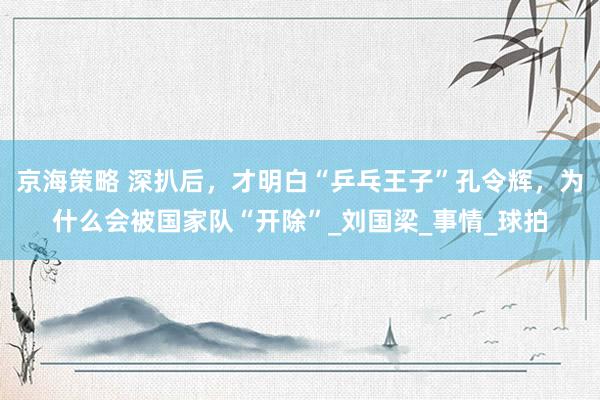 京海策略 深扒后，才明白“乒乓王子”孔令辉，为什么会被国家队“开除”_刘国梁_事情_球拍