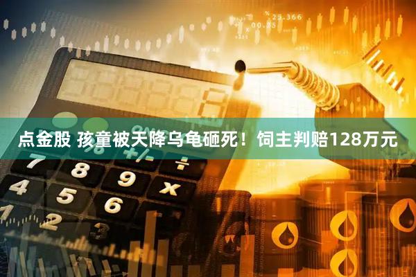 点金股 孩童被天降乌龟砸死！饲主判赔128万元