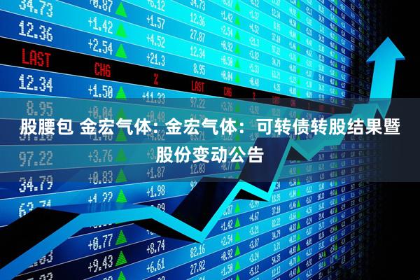 股腰包 金宏气体: 金宏气体：可转债转股结果暨股份变动公告