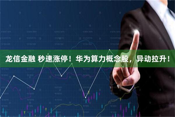 龙信金融 秒速涨停！华为算力概念股，异动拉升！