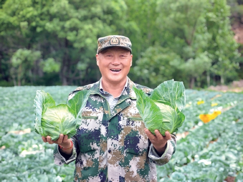 犇牛聚财 “兵支书”口袋里的初心